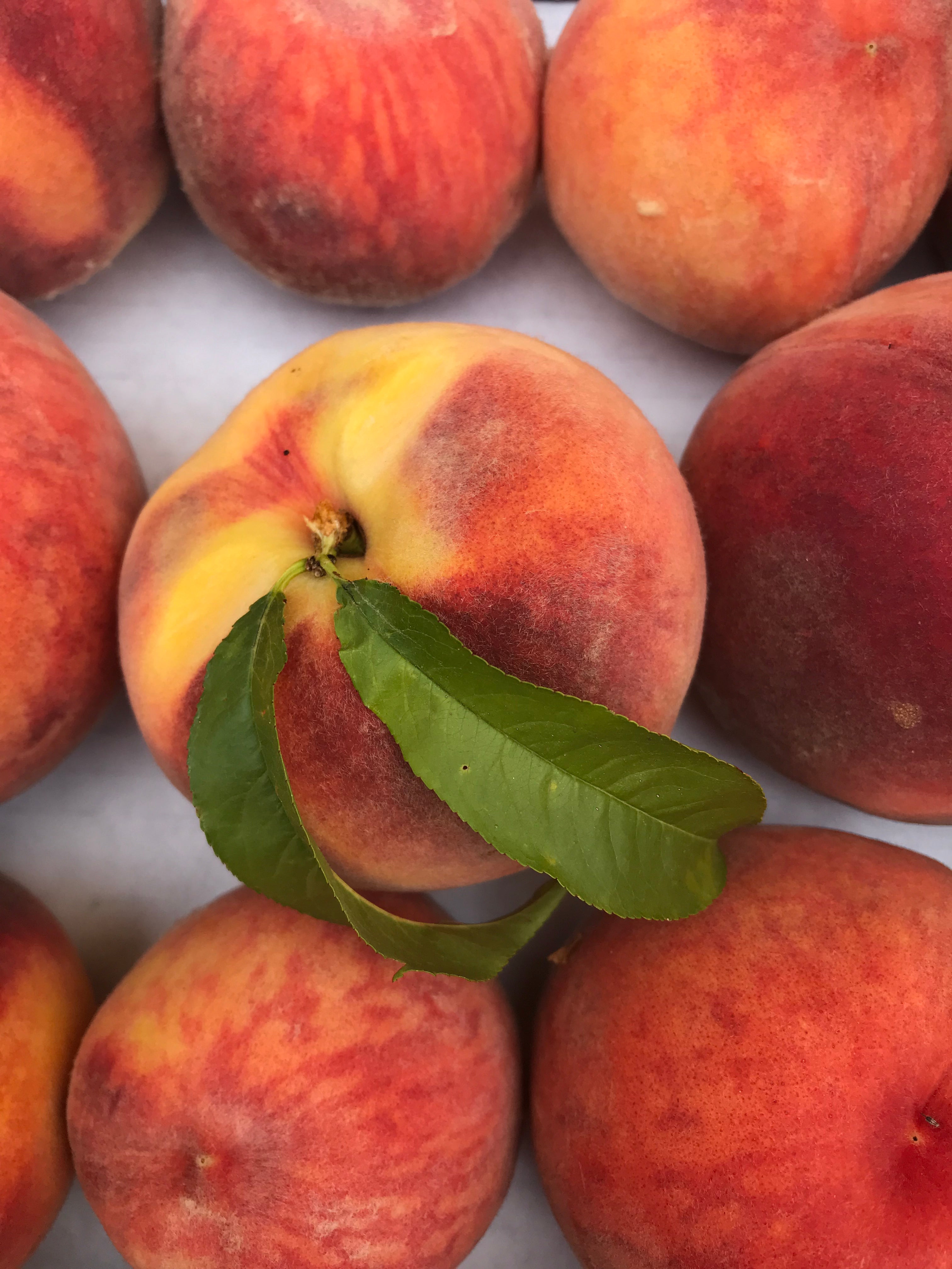 Fresh Colorado Palisade Peaches